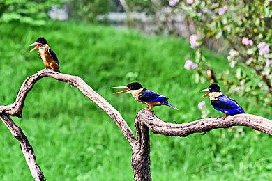 名越稔洋：新作是单人主机游戏 不会背叛粉丝期望